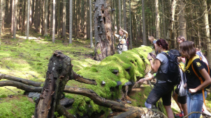 Kraj pátrá po Zelené škole regionu, ocení ji titulem