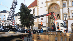 Před orlojem v Olomouci už je vánoční stromek