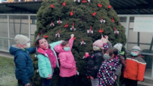 Olomoucké děti opět soutěžily ve zdobení stromečku