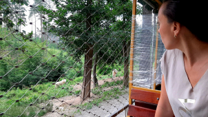 Zoo Olomouc loni navštívilo 293 457 návštěvníků