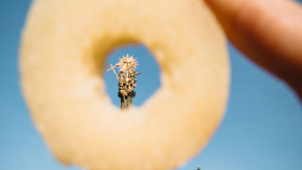 Tvarůžky, koncerty, Olomoucký loket a další k zahájení sezóny