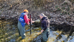 Chcete pomoct s bojem proti obtížným komárům?