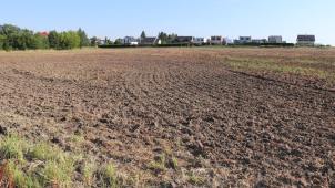 Města se chtějí zbavit zahrádkářských kolonií, Přerov staví novou