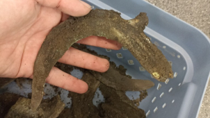 Archeologové objevili u Kojetína bronzový poklad