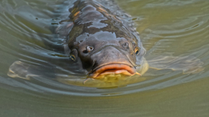 Máme pro vás pár tipů, kam zajít o víkendu