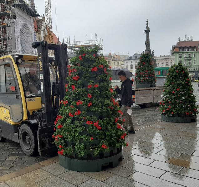 Květinové pyramidy zdobí Horní náměstí v Olomouci