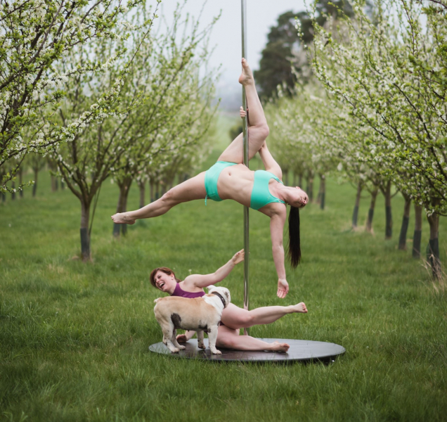 Projekt Pole dogs, spojení krásy a roztomilosti, které pomáhá