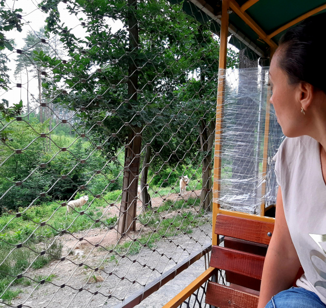 Zvířata jsou společnost s velkou zárukou, říká mluvčí zoo