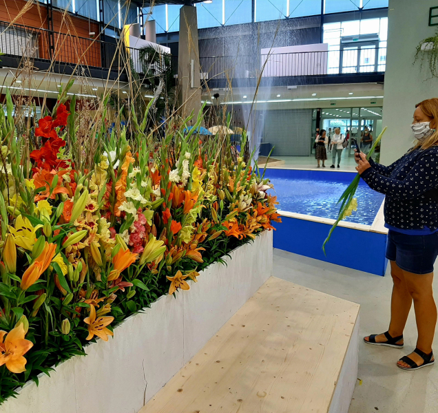 Jarní Flora ani letos nebude! Za zrušení může koronavirus