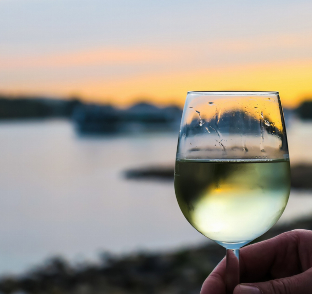 Olomoučtí strážníci zadrželi milovníka vína