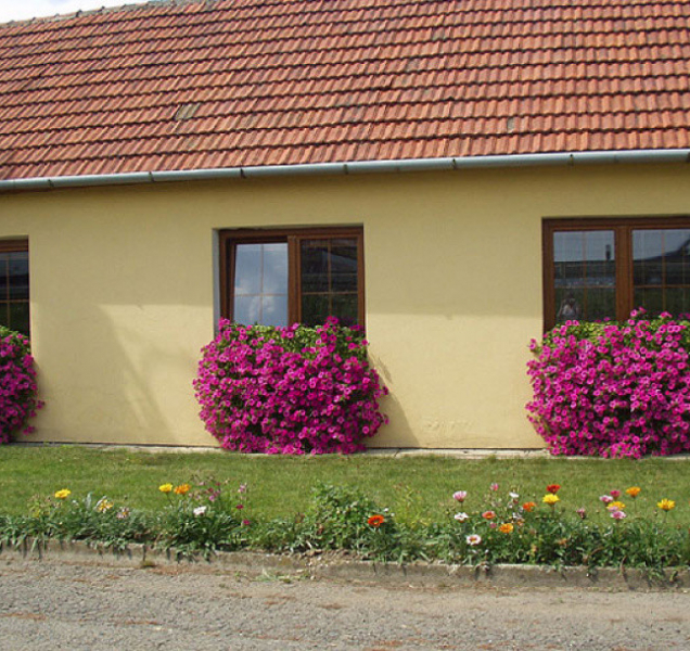 Olomoucký magistrát vyhlásil soutěž o nejhezčí květinovou výzdobu