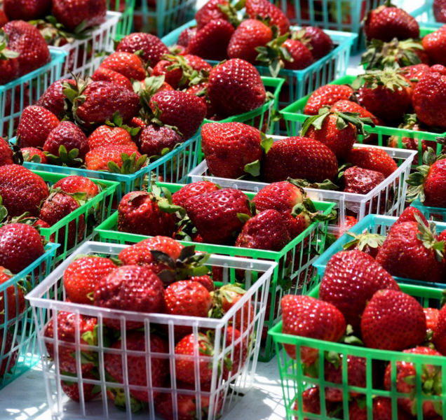 Dívka prodávala jahody a meruňky, neměla ale povolení