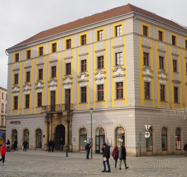 Historie olomouckých staveb: Salmův palác