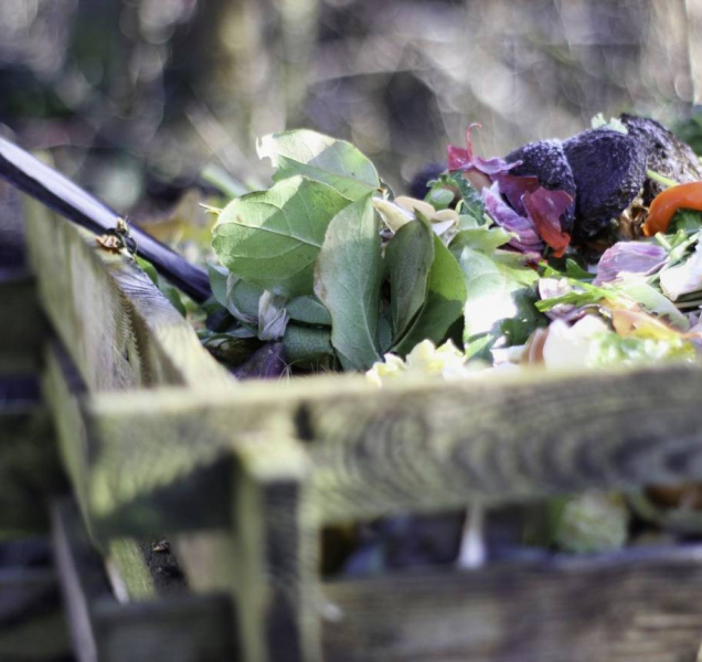 Jeseník obnoví pravidelný letní svoz bioodpadu