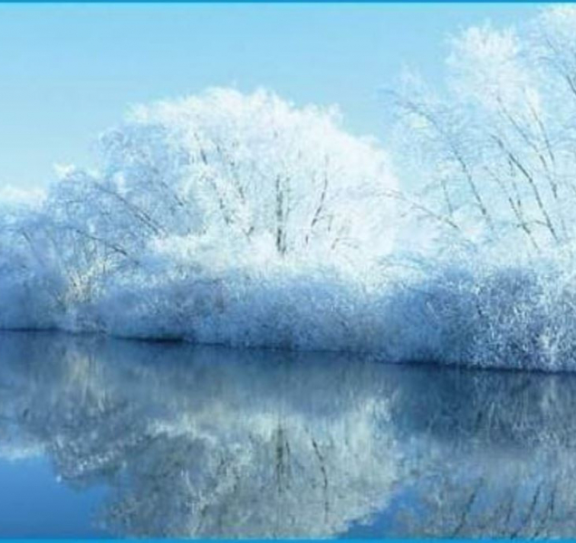 Otužilci budou dnes v Olomouci závodit v řece Moravě