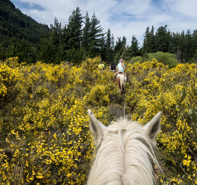 Hrad Hluboký v Hlubočkách znovu ožije