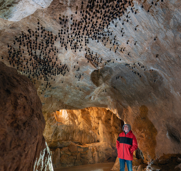 Jeskyně v Javoříčku a Mladči jsou otevřeny do konce měsíce