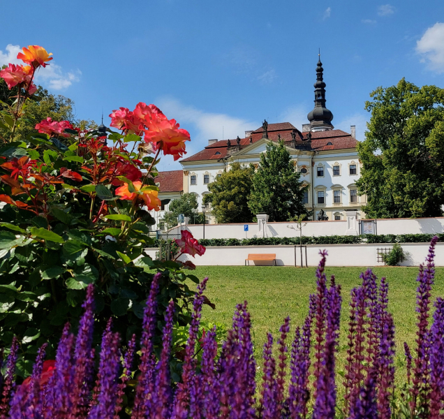 Prelátská zahrada proměnila okolí Hradiska v kvetoucí ráj