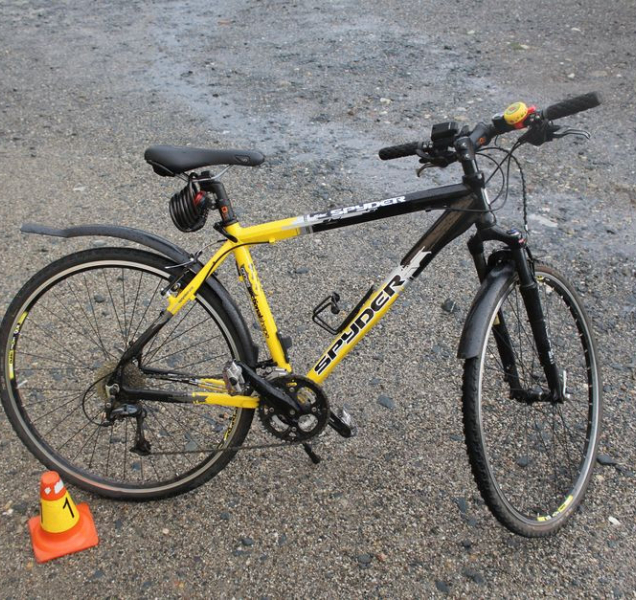 Policie pátrá po řidiči, který v Hněvotíně škrtl o cyklistku