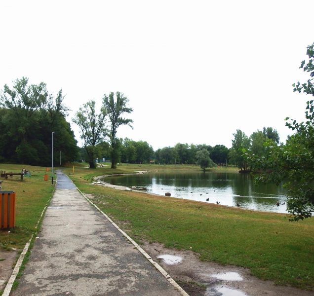 Modernizace laguny na biotopové koupaliště nebude