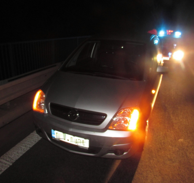 Mladý řidič v sobotu večer u Hranic srazil divoká prasata