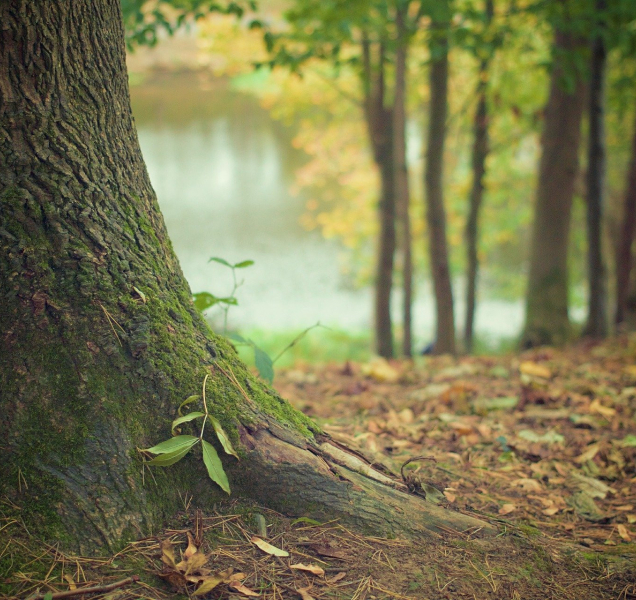 Sobotní teploty se vyšplhají až k patnáctce