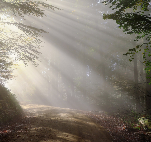 Neděle bude chladná, na horách čekejte až mínus pět