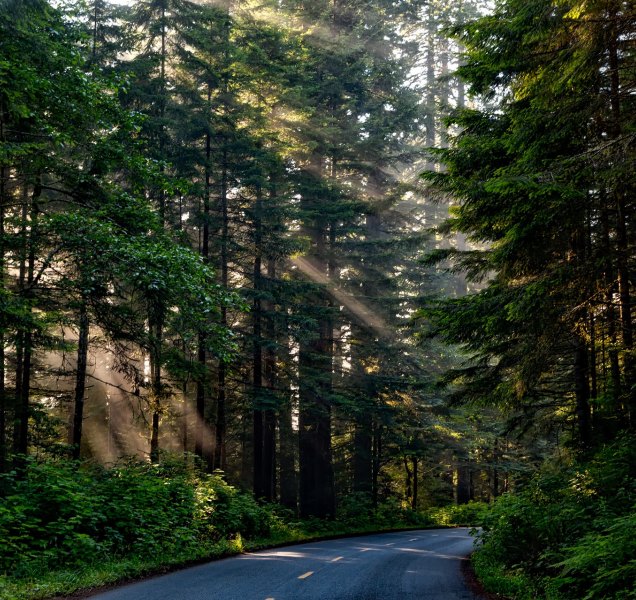 V pátek 13. v kraji otevřely nové silnice