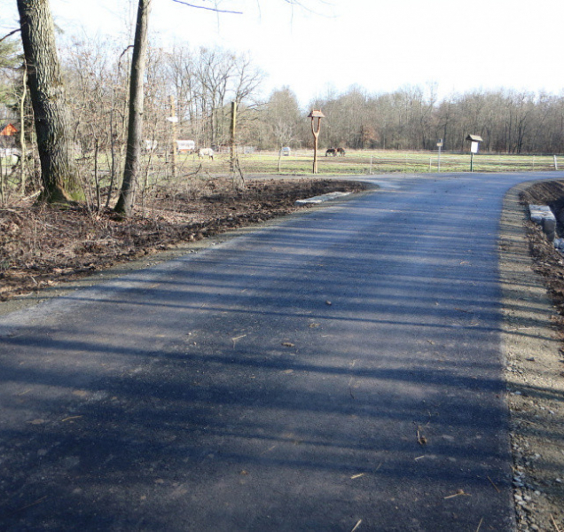 V olomouckých lesích vznikly nové cesty i most