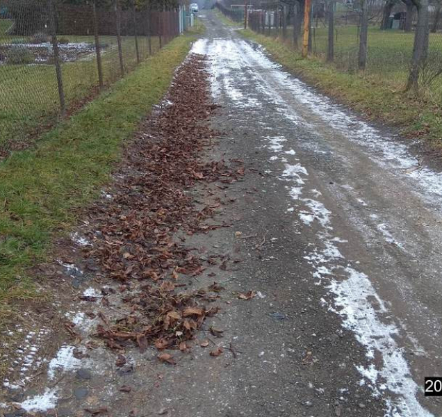 Přerovští strážníci řešili listí nahrabané na cestu