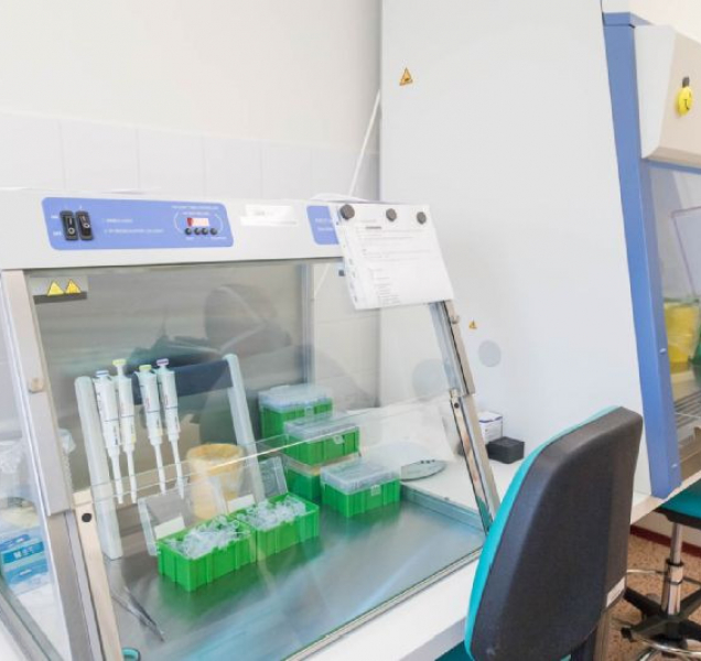 Nemocnice začnou testovat samoplátce