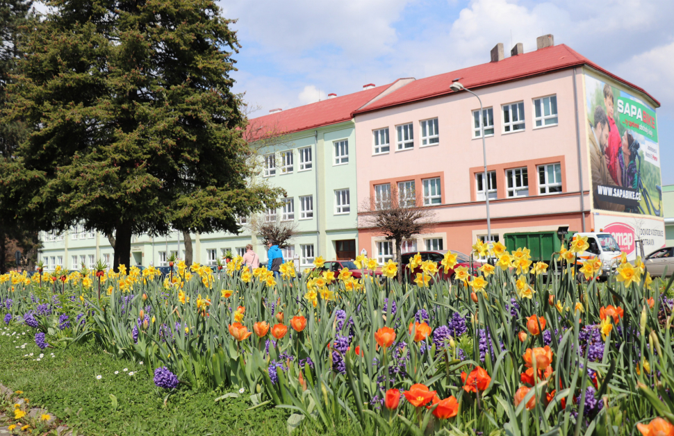 Ulice Přerova zdobí květinová výsadba