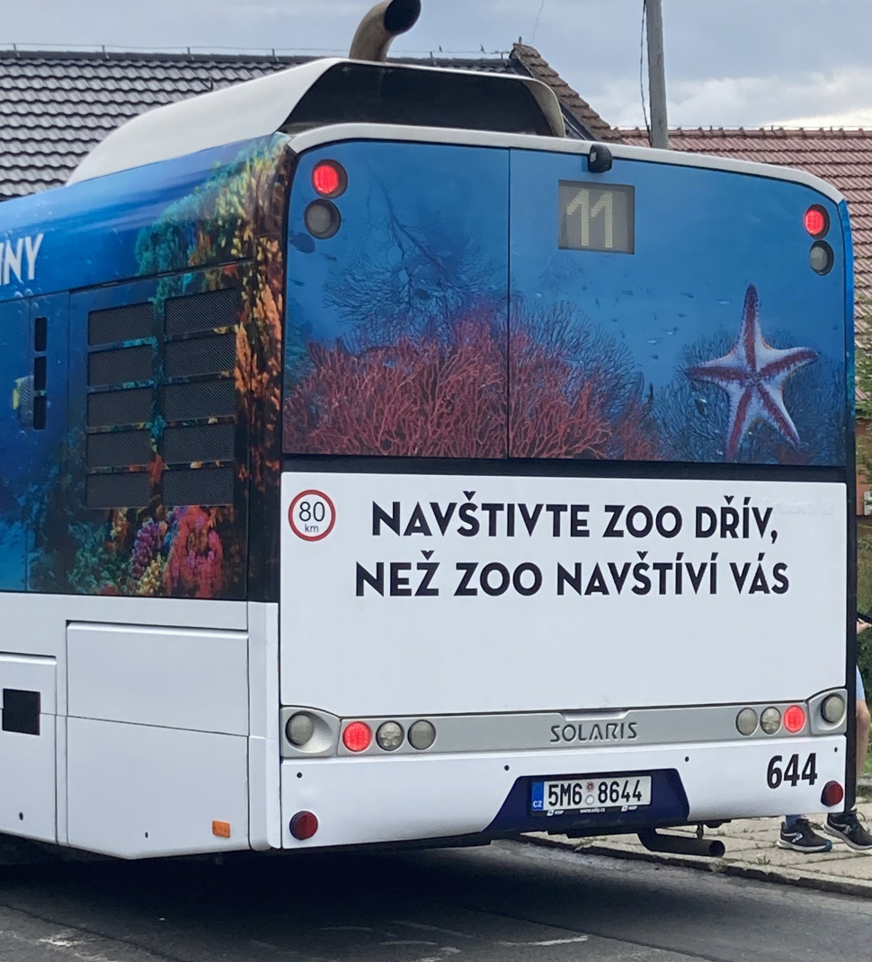 Hrozí nám zoo, že vypustí zvířata do města?