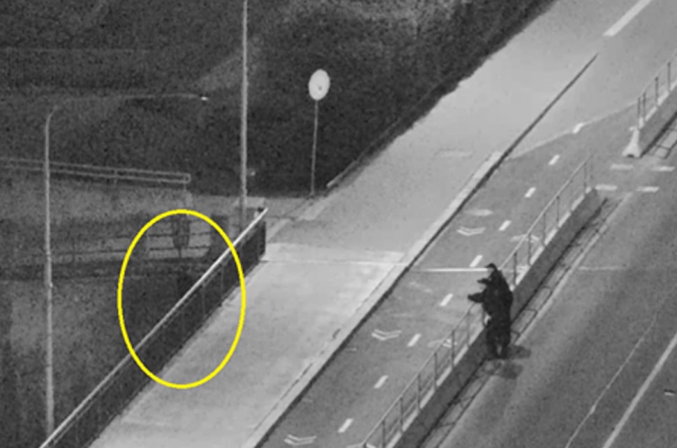 Před půlnocí skočila do řeky, strážníci ji zachránili