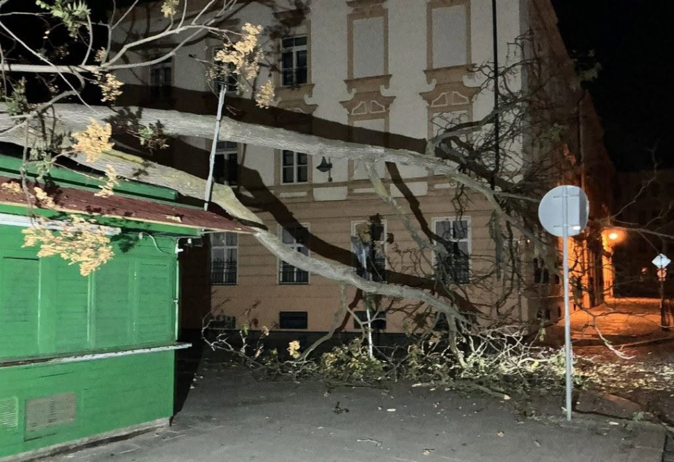 Na stánek u tržnice spadl strom! Radnice radši vykácí i okolní dřeviny